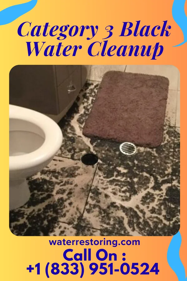 Category 3 Black Water Cleanup in Hume, MO