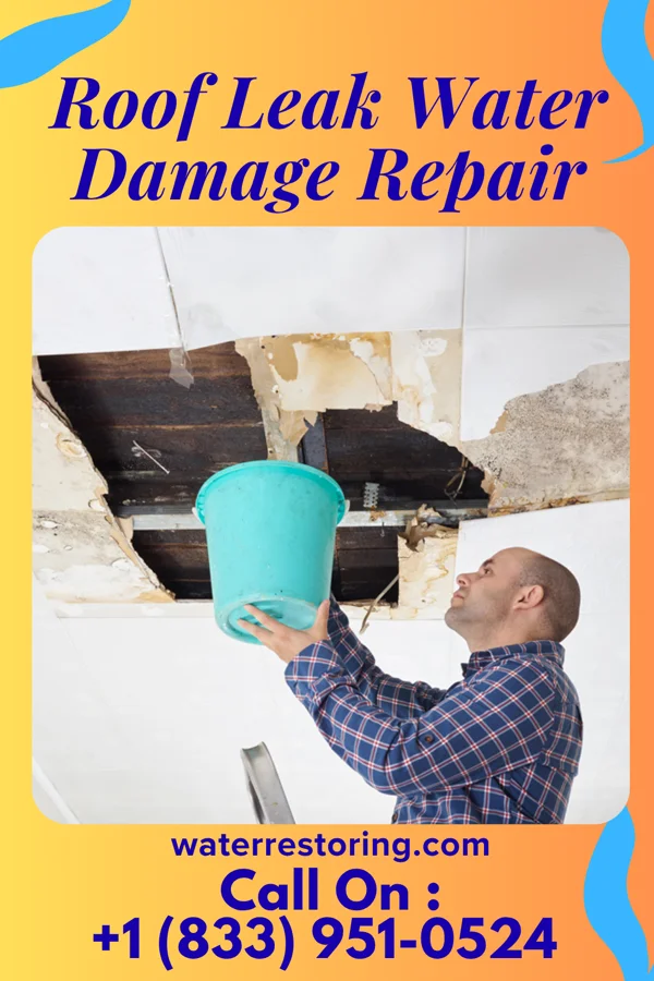 Roof Leak Water Damage Repair in Hume, MO