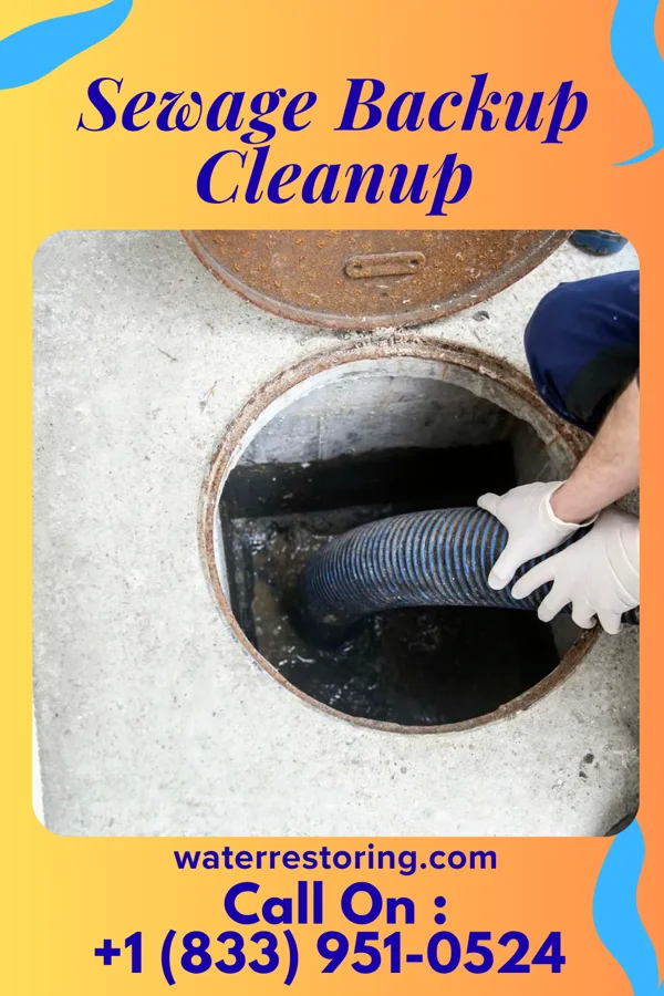 Sewage Backup Cleanup in Hume, MO